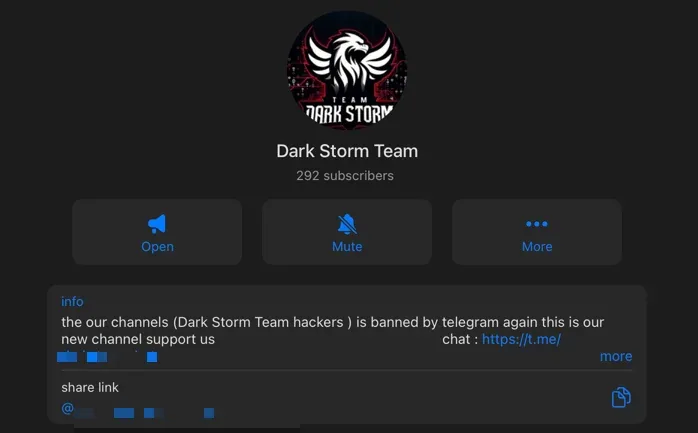Dark Storm Team