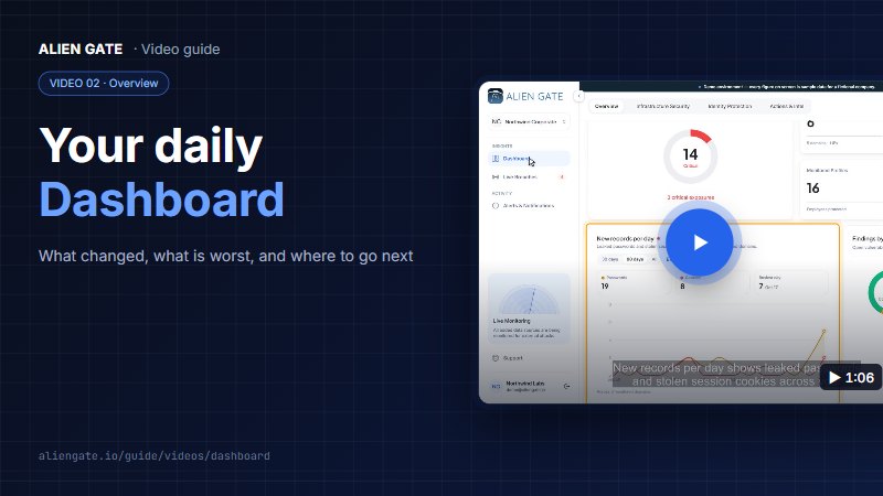 Your daily Dashboard