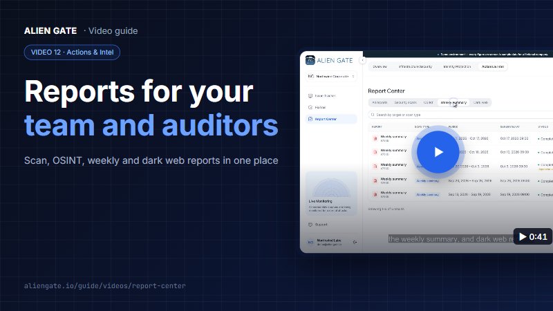 Reports for your team and auditors