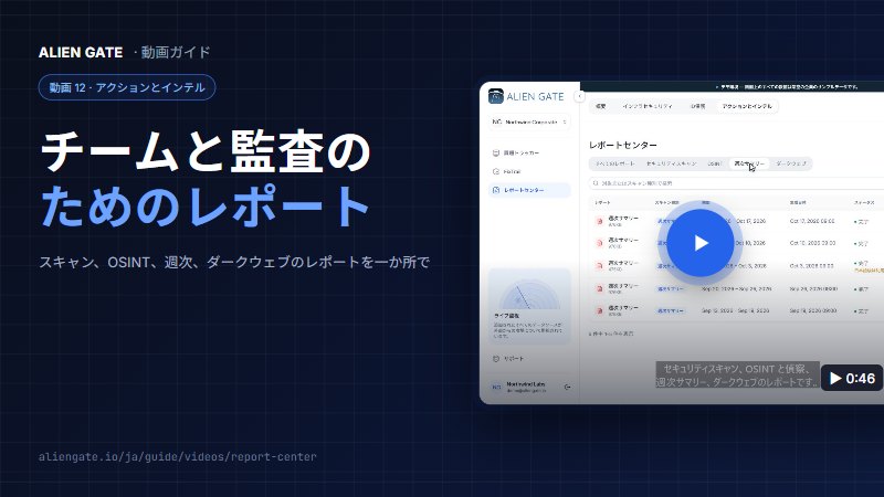 チームと監査のためのレポート